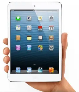 ipadmini mini