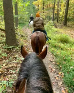 people riding horses in the woods