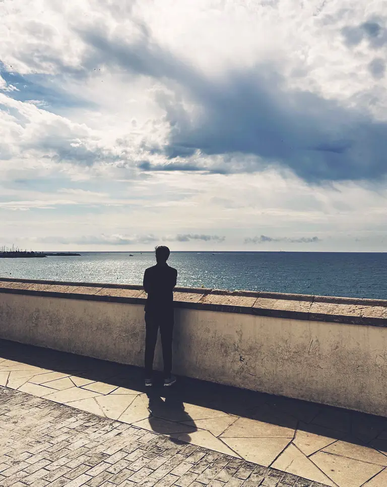 a person standing on a wall overlooking the ocean